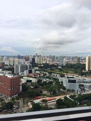 Spottiswoode 18 (D2), Apartment #318410041